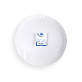 Paper Plates for Pizza
